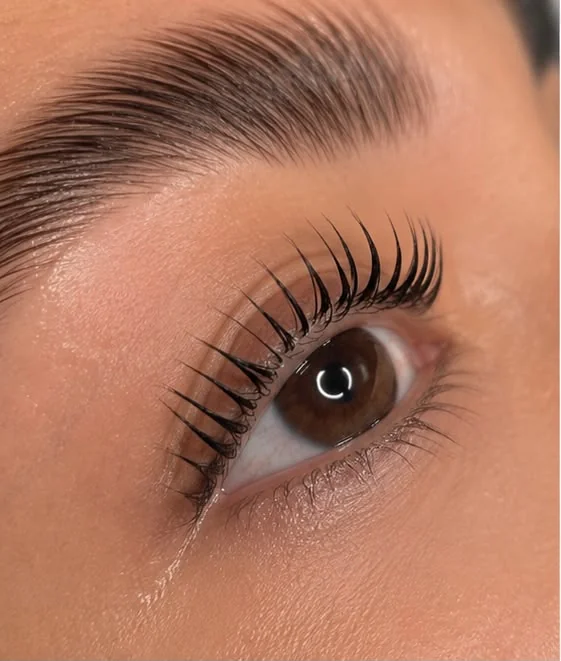 Lash- & Browlifting bei CT Beauty & Aesthetics